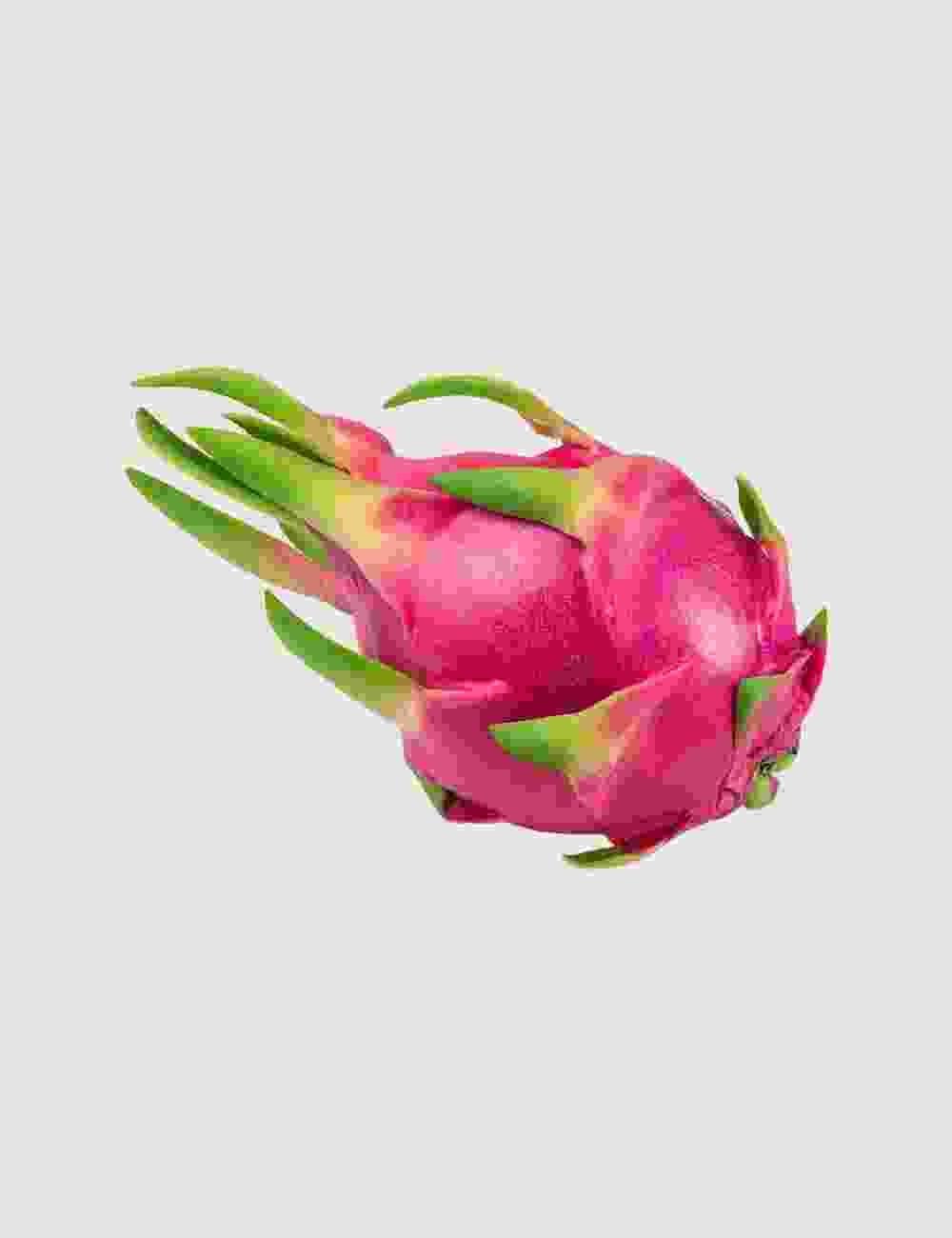 oragnic-shop-11-1