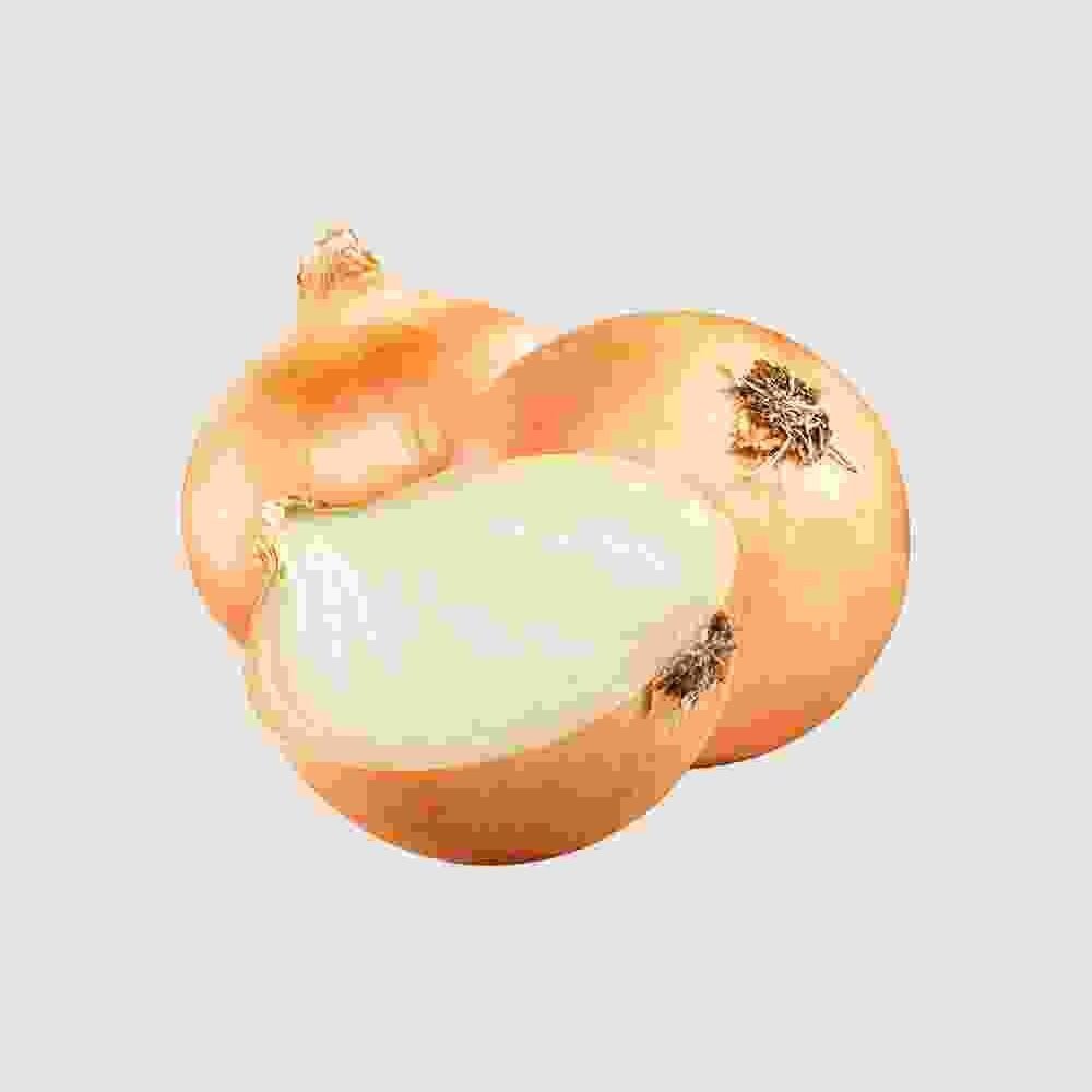Shop Primary Image