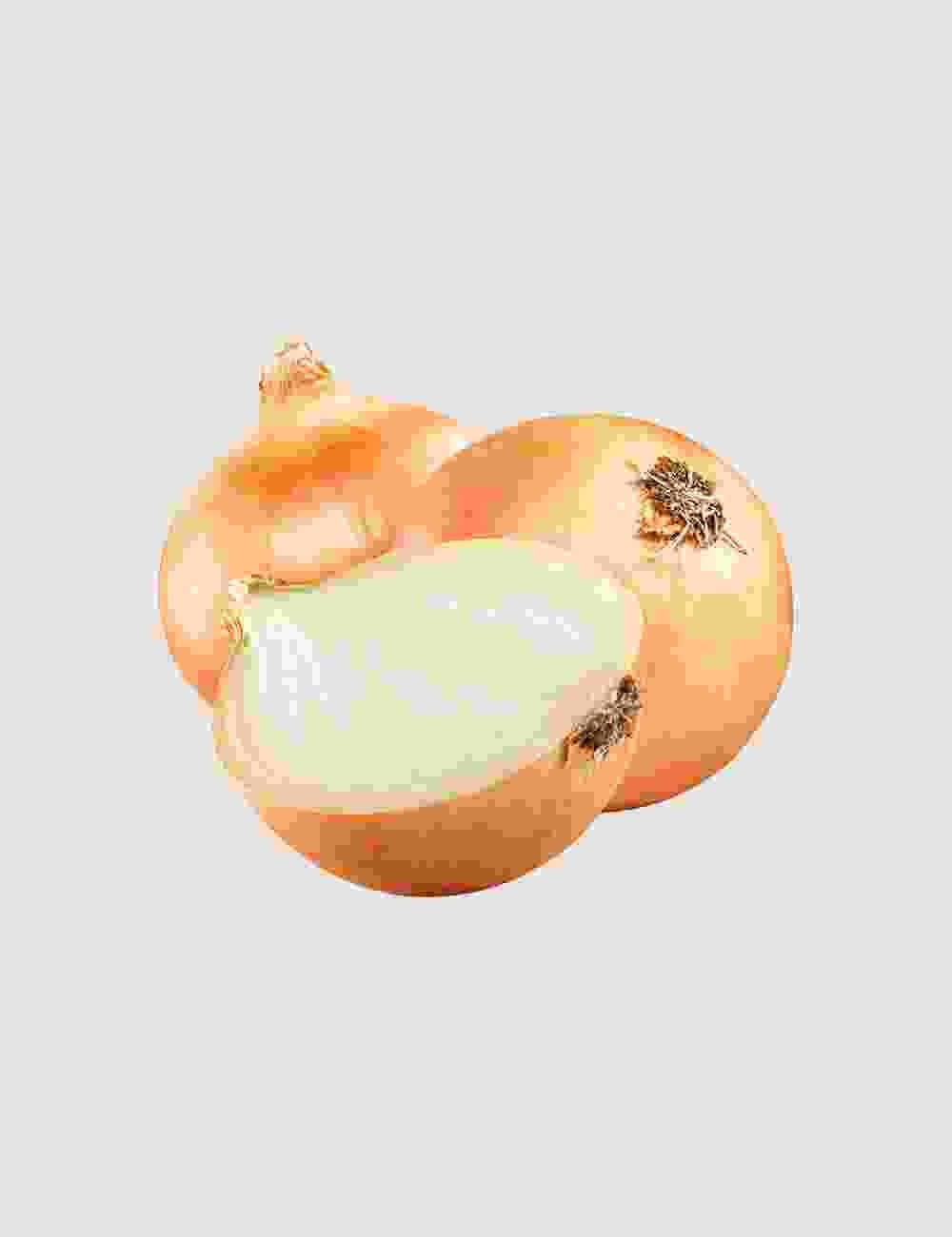 oragnic-shop-21-1
